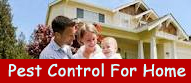 Pest Control For Home